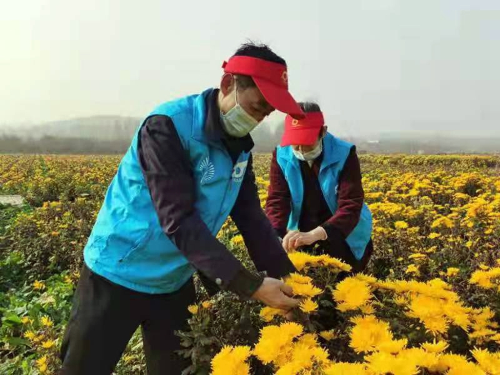 e460b72654bd45668e19c29446846e8